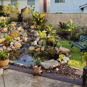 Photo of The Pond Pros of Southern California