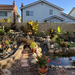 Photo of The Pond Pros of Southern California