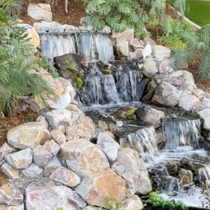 Photo of The Pond Pros of Southern California
