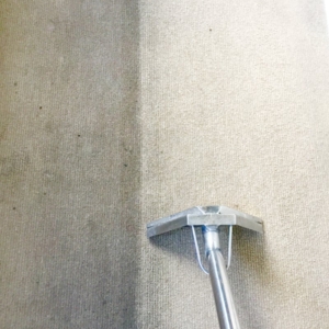 Photo of Property Maintenance Sydney