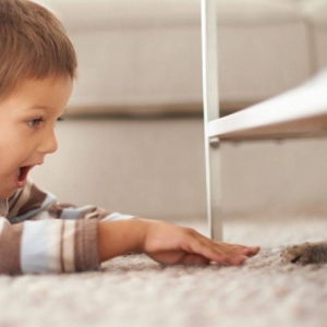 Photo of Apex Cleaning Services