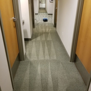 Photo of Apex Cleaning Services