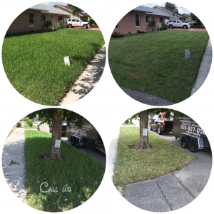 Photo of Lush Greenery Landscaping