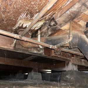 Photo of ER Restoration