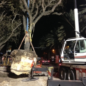 Photo of South Dade Rock and Tree Works