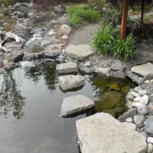 Photo of Suncrest Landscaping & Design