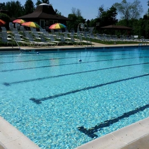 Photo of Westminster Riding Club