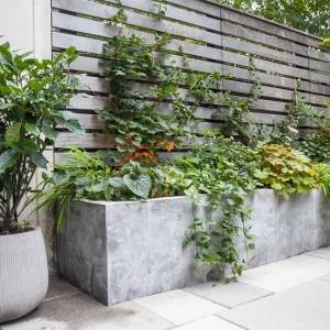 Photo of Outside Space NYC