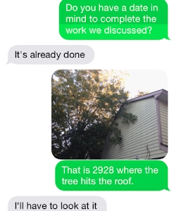 Photo of Duke's Tree and Landscape