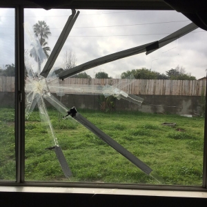 Photo of Glendora Window and Screen
