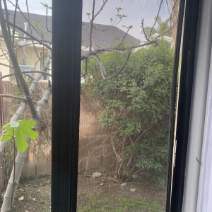 Photo of Glendora Window and Screen