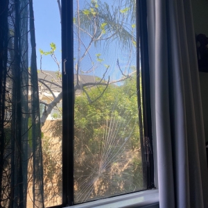 Photo of Glendora Window and Screen