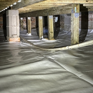 Photo of Crawlspace ER