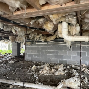 Photo of Crawlspace ER