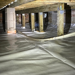 Photo of Crawlspace ER