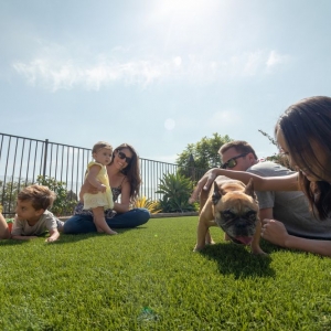 Photo of US Turf