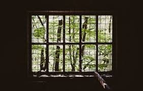 Photo of SMT Glass and Window