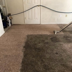 Photo of Superior Floor Cleaning