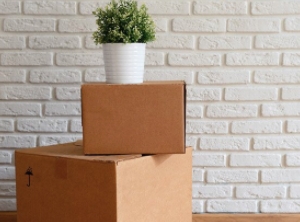 Photo of Executive Loaders: #1 Labor Only Movers in Chicago