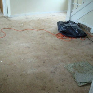 Photo of Complete Carpet Care