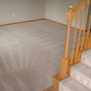 Photo of Complete Carpet Care