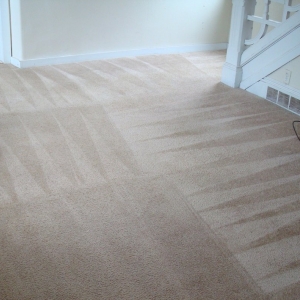 Photo of Complete Carpet Care