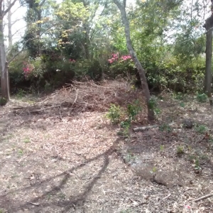 Photo of Go Get âEm Lawn Service