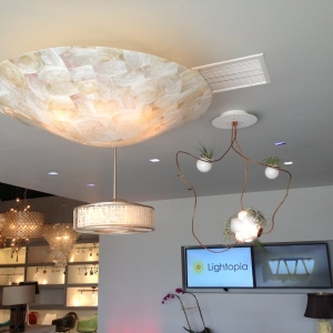 Photo of Lightopia