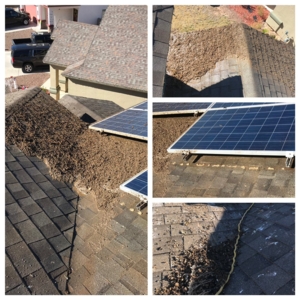 Photo of UltraWash Exterior Services