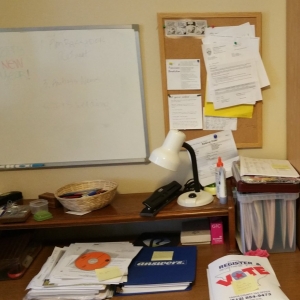 Photo of Wise Owl Organizing