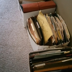 Photo of Wise Owl Organizing