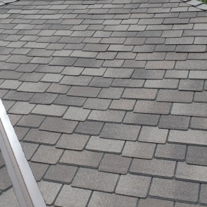 Photo of Legacy Roofing