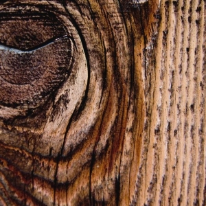 Photo of Neca Hardwood Floors