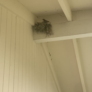 Photo of AC Painting