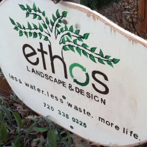 Photo of Ethos Landscape & Design