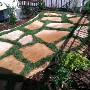 Photo of Ethos Landscape & Design