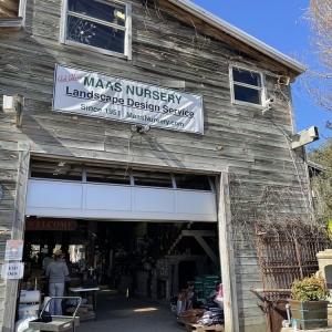 Photo of Maas Nursery