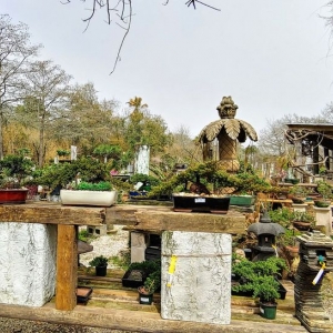 Photo of Maas Nursery