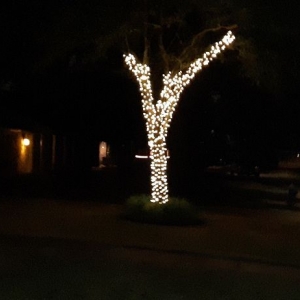 Photo of Christmas Lights and Decore of Houston