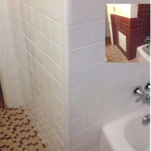 Photo of Surface Renew