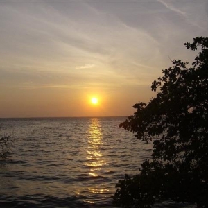 Photo of Sea Chaser Realty