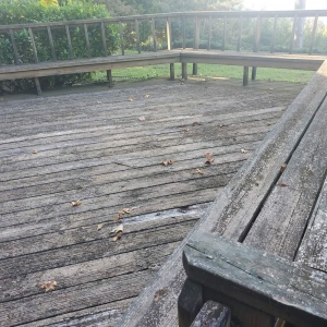 Photo of Marc's Pressure & Roof Cleaning