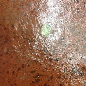 Photo of Crete-Tech Decorative Concrete and Staining