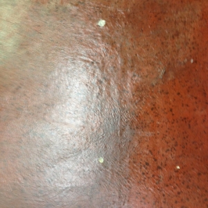 Photo of Crete-Tech Decorative Concrete and Staining