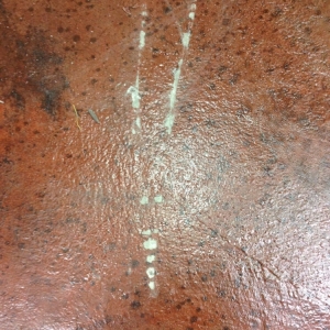 Photo of Crete-Tech Decorative Concrete and Staining