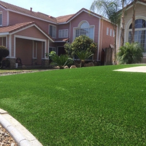 Photo of Turf Shield