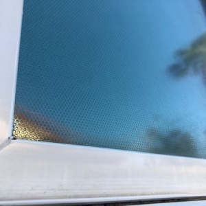 Photo of Turf Shield