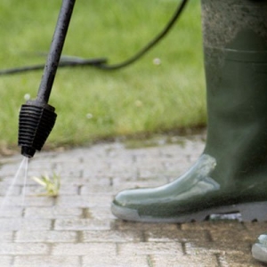 Photo of Ace Home Cleaning