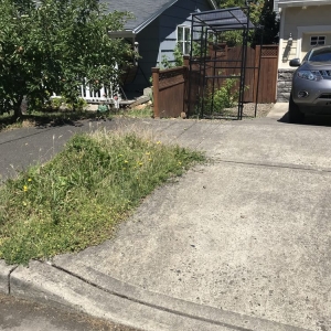 Photo of Good Green Neighbors