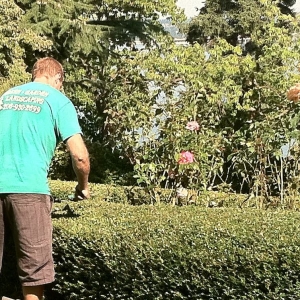 Photo of Green Garden Landscaping